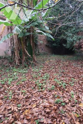 Au coeur de la Chataigneraie