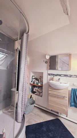 MENETOU SALON MAISON 4 PIECES JARDIN GARAGE