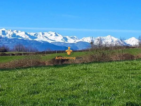 Vente Terrain 7461 m2 à Mascaras