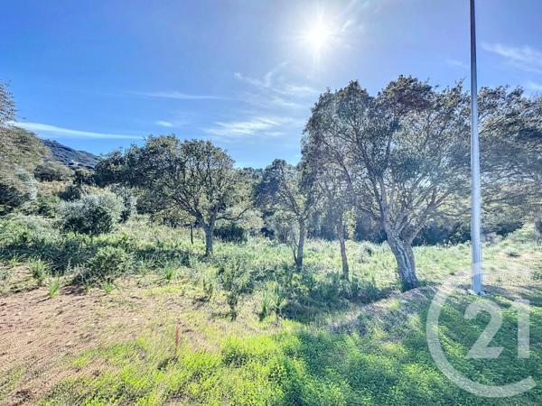 Terrain à vendre  838 m2 PORTO VECCHIO - 201