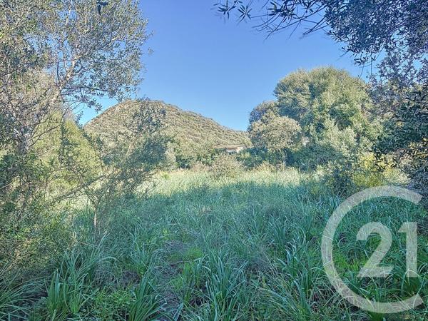 Terrain à vendre  838 m2 PORTO VECCHIO - 201