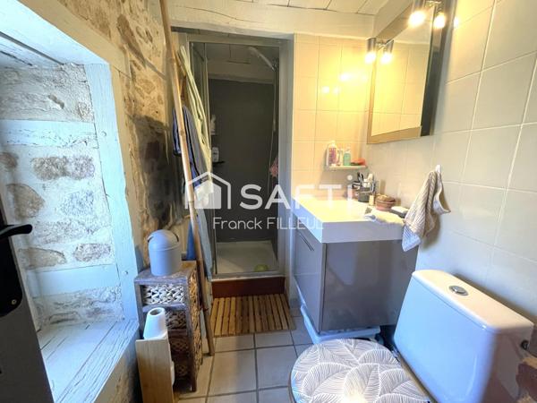 Maison de pierre rénovée avec jardin, dépendances