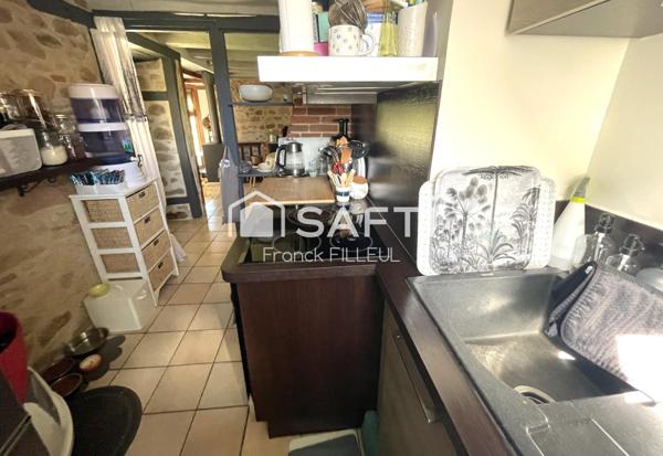 Maison de pierre rénovée avec jardin, dépendances