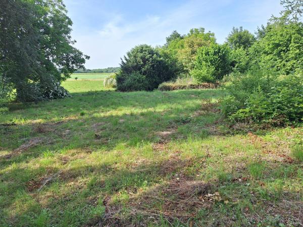 Terrain à VILLEBOUGIS, 89150 - 1029m²