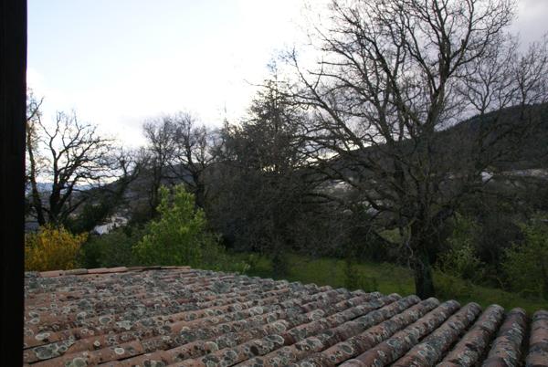 Grande maison avec terrain d’exception à découvrir et dépendance