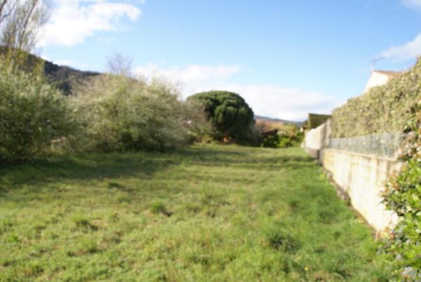 Grande maison avec terrain d’exception à découvrir et dépendance