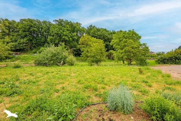 Maison à vendre 411 748 € Vernou-sur-Brenne 6 p 161 m² DPE A