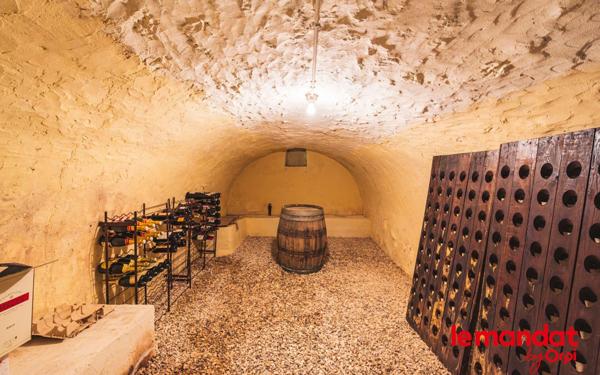 Maison à vendre    7 pièces •  Saint-Martin-d'Ablois