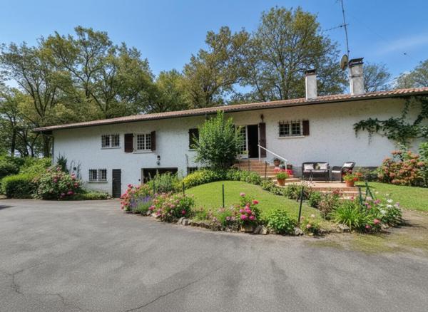 Maison Saint Paul Les Dax  258 m2