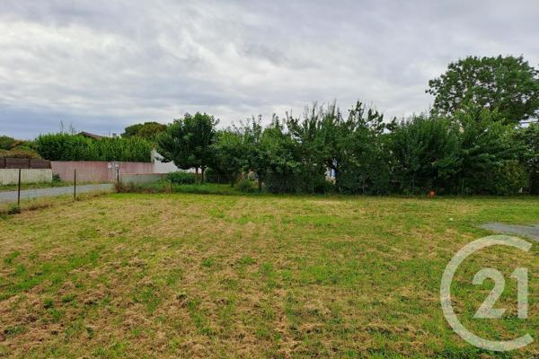 Terrain à vendre  552,78 m 2   ST GEORGES D OLERON  - 17