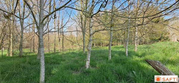 Maison de campagne sur 1,5 ha et plan d'eau