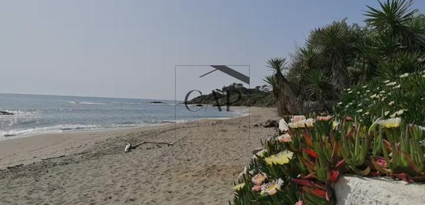 Marina di Bravone – T3 avec terrasse face piscine, parking et plage à proximité