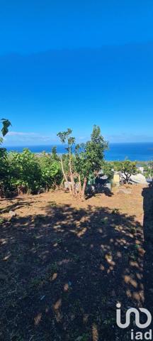 Maison 4 pièces de 75 m² à Les Avirons (97425)