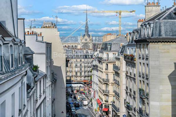 Paris 5ème limite 6ème, sectorisation Henri IV, bel appartement 3/4 pièces avec vue sur Note-Dame.