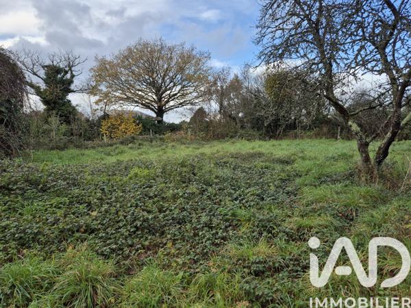 Terrain à vendre 1 032 m² Sarzeau