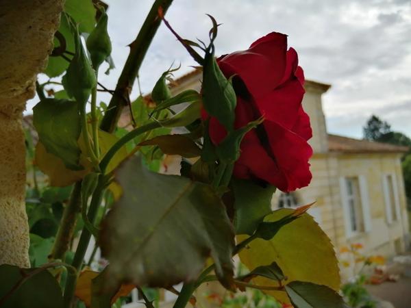 Propriété de caractère avec gîte et chambre d’hôtes – à 15 min de Bordeaux