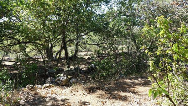 Terrain à bâtir Saint Maximin Sud