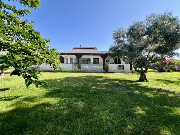 Vente Maison 9 pièces 257 m2 à Lucciana