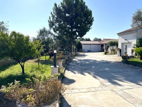 Vente Maison 9 pièces 257 m2 à Lucciana