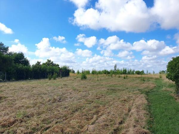 Terrain de 1163 m² dont 409 m² constructibles
