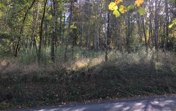 Vente Terrain Proche du village Luzech   