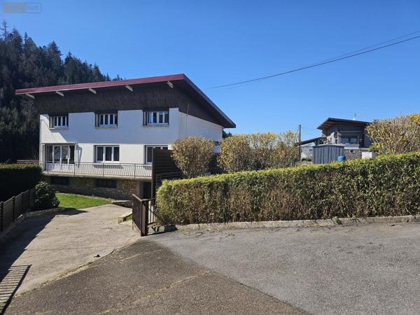 Maison individuelle à vendre à Remiremont dans les Vosges (88200), ref : 1200/0725-COPIE-88038