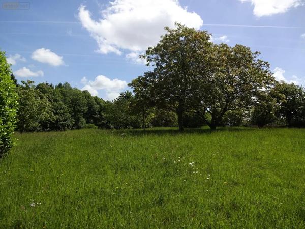 Achat - Maison Pontmain 53220 7 pièces 143 m 2 6515 m 2