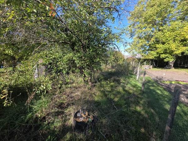 Maison à vendre |  Saint-Loup-des-Chaumes |  3 pièces | 48 m²