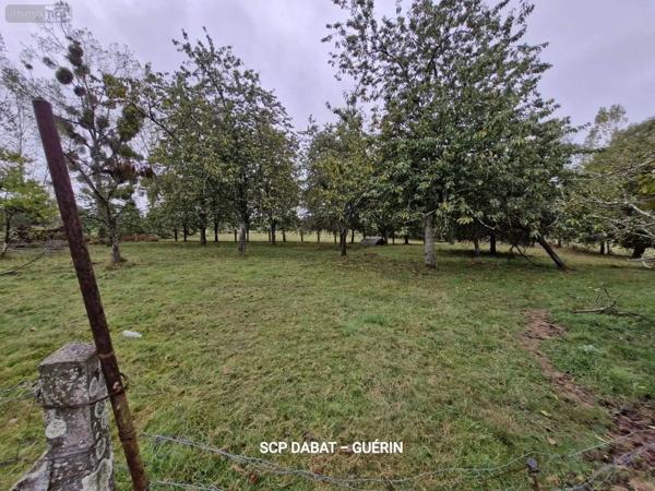 Achat - Maison Mortain-Bocage 50140 4 pièces 123 m 2 9135 m 2