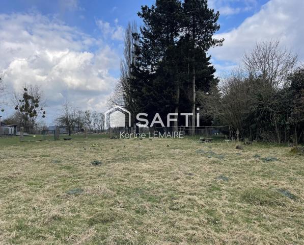 Terrain constructible