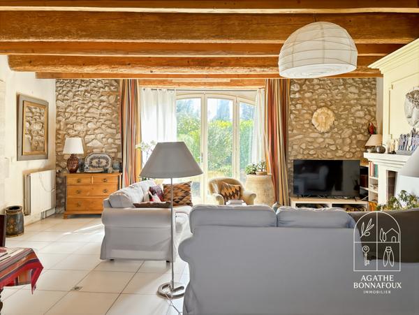 Mas 380 m2 en pierre avec piscine au calme sur 5800 m2 de terrain