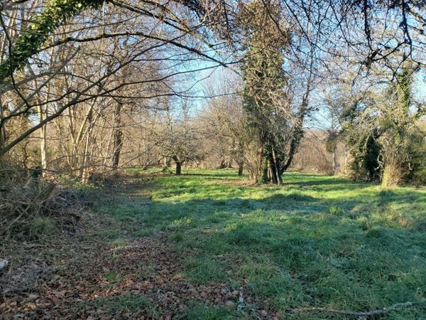 Maison à restaurer à vendre à Bussière-Dunoise en Creuse (23320), ref : 10986/744