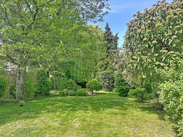 NOUVEAUTÉ : 130M2 SUR 972M2.