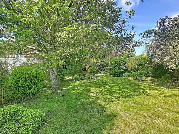 NOUVEAUTÉ : 130M2 SUR 972M2.
