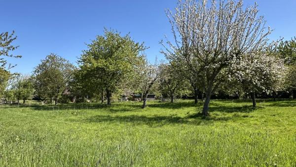 Vente                                                      Maison
                        
                     6 pièces                      82 m2                     à Épaignes
