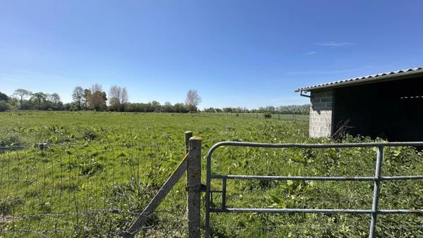 Vente                                                      Maison
                        
                     6 pièces                      82 m2                     à Épaignes