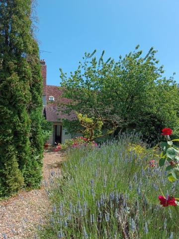 Vente Maison de luxe Blois 12 Pièces 410 m²