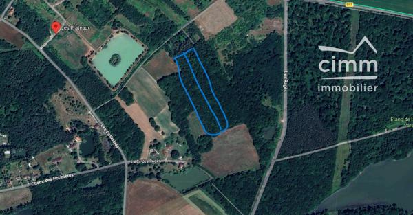 Terrains boisés non constructibles à vendre – 9 015 m²