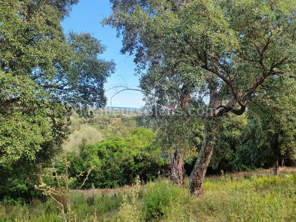 Vente terrain constructible de 1500m2 sur Acqua Citosa