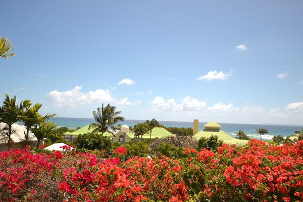 Saint-François (97118) Appartement d'exception T3 meublé Vue mer panoramique accès plage