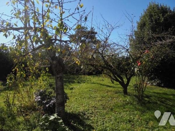 BEAUGENCY, pavillon, Loiret (45)

Pavillon comprenant : sas d'entrée, entrée avec placard, salo...