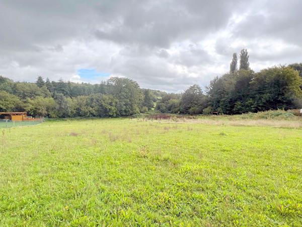 Terrain FLEURY 2445 m2