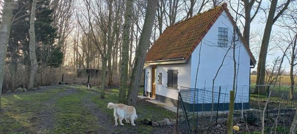 Maison individuelle à vendre à Bourbourg dans le Nord (59630), ref : V12279