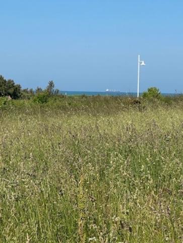 Terrain à vendre |  Châtelaillon-Plage |  402 m²