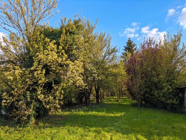 Terrain à vendre à Osny - Division ou multi-construction possible