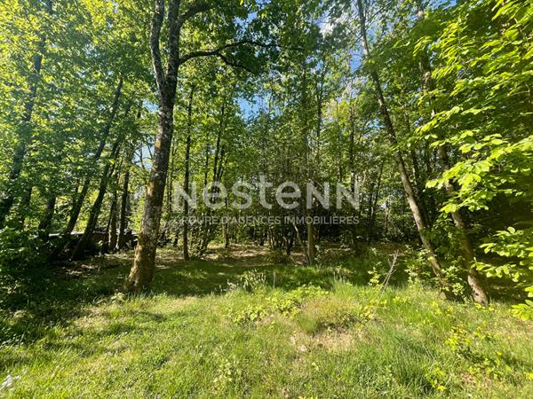 Grande Maison familiale offrant 6 chambres +++