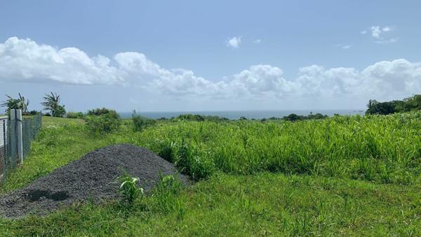 Maison à louer    3 pièces • 86,05 m2 Sainte-Rose