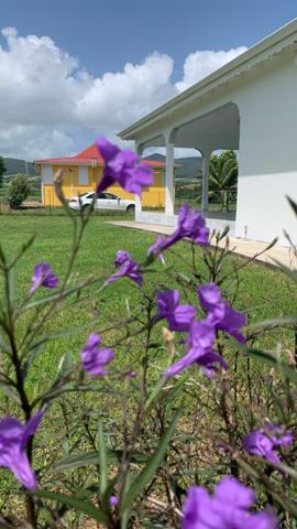 Maison à louer    3 pièces • 86,05 m2 Sainte-Rose