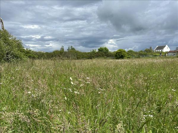 Terrain à vendre |  Camaret-sur-Mer |  1355 m²