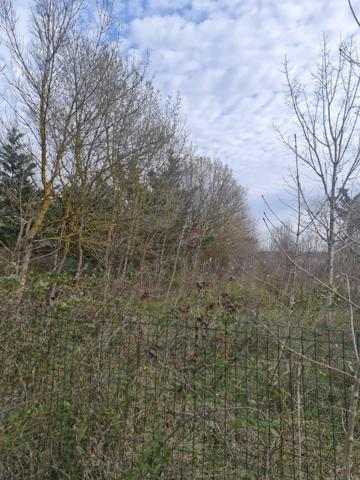 ***TERAIN DE LOISIR ***